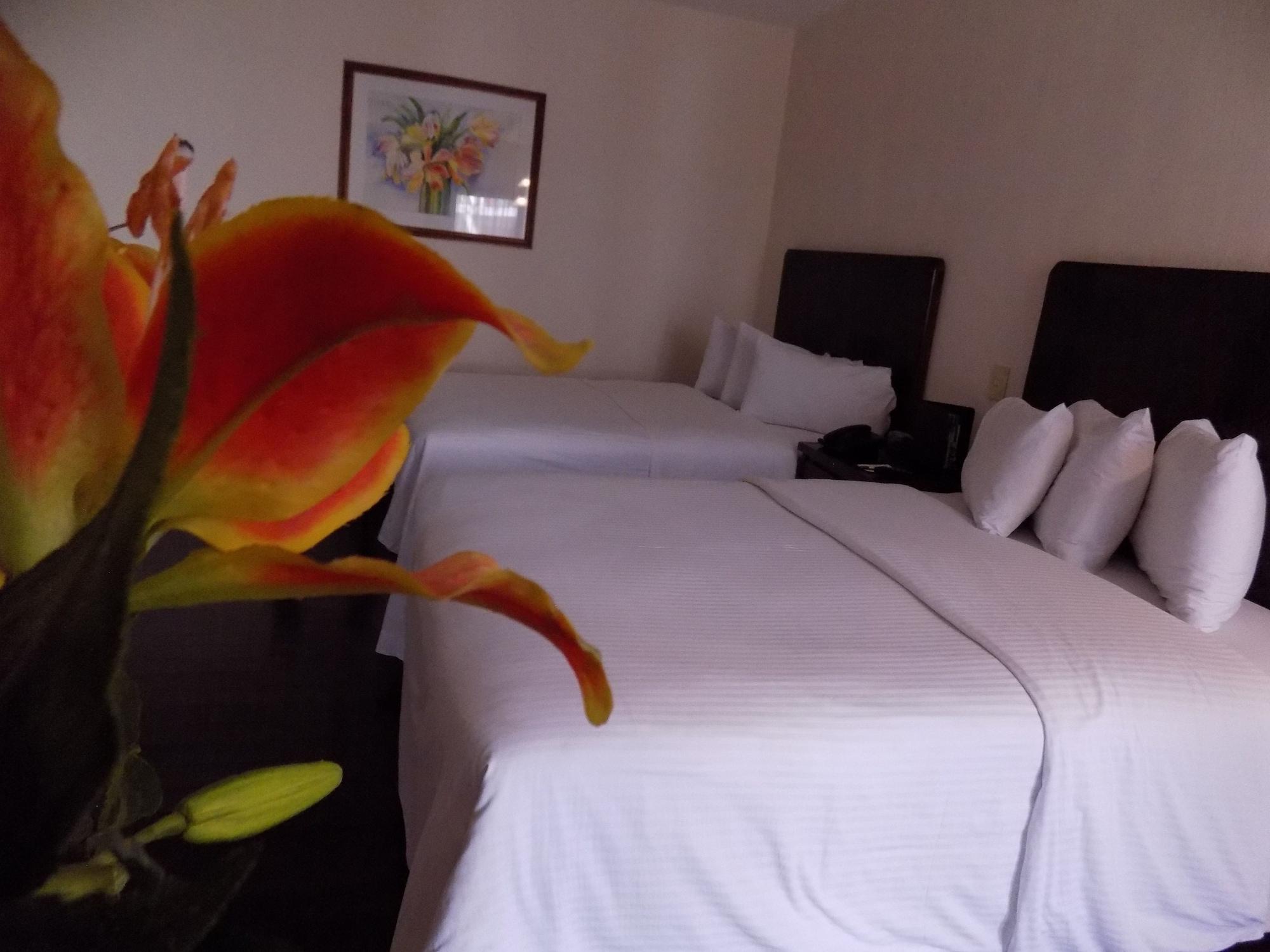 Hotel Las Palomas Tepic Exterior photo